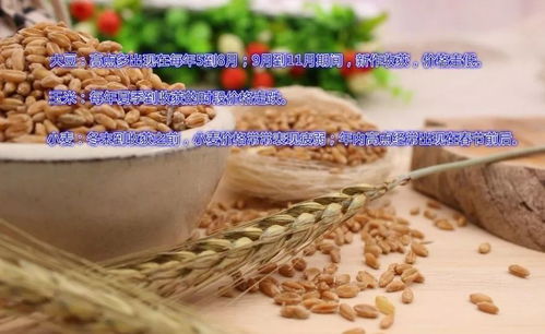 大宗商品二十四节气剁手图 双十一投资指南